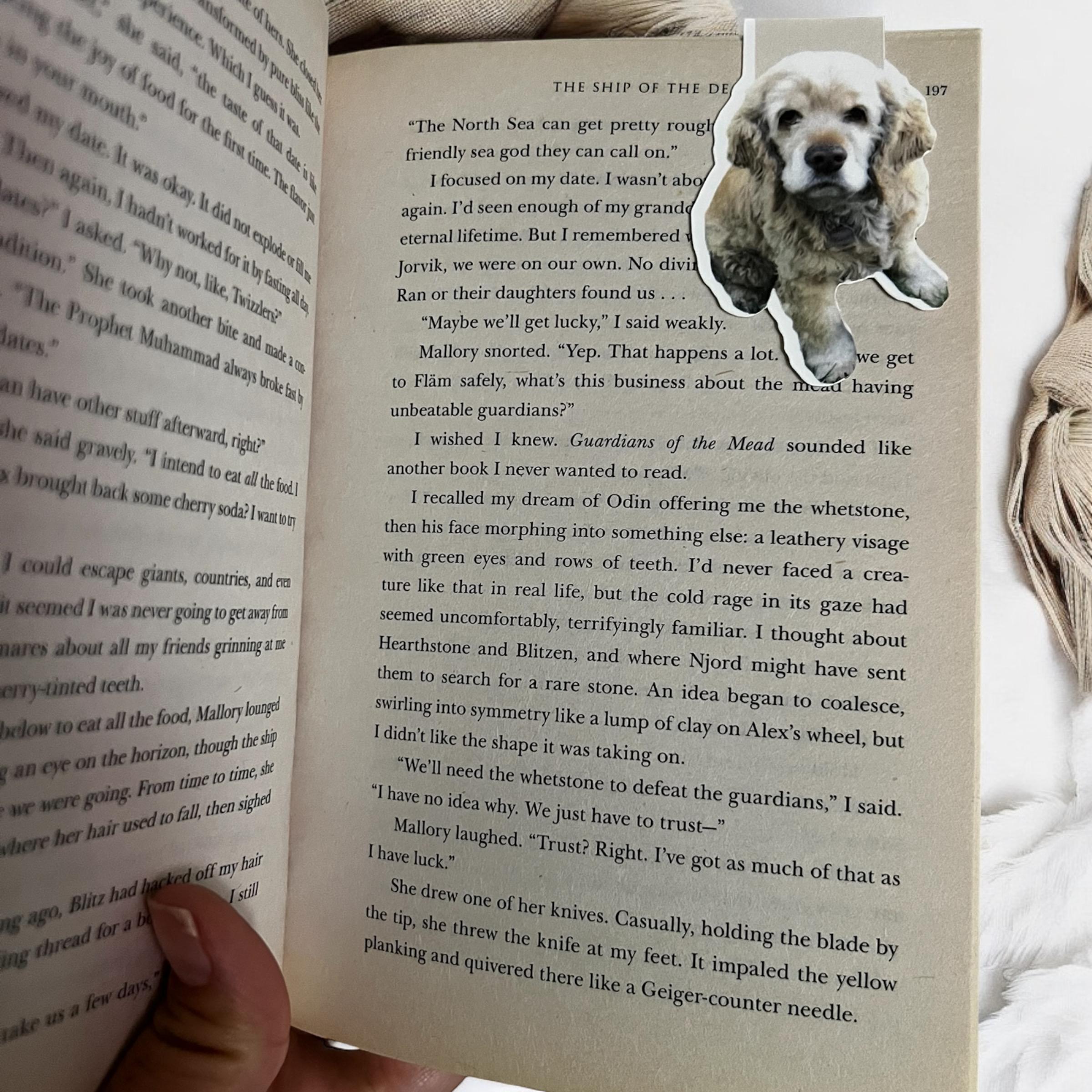 Personalized Photo Magnetic Bookmark-Custom Picture Bookmark