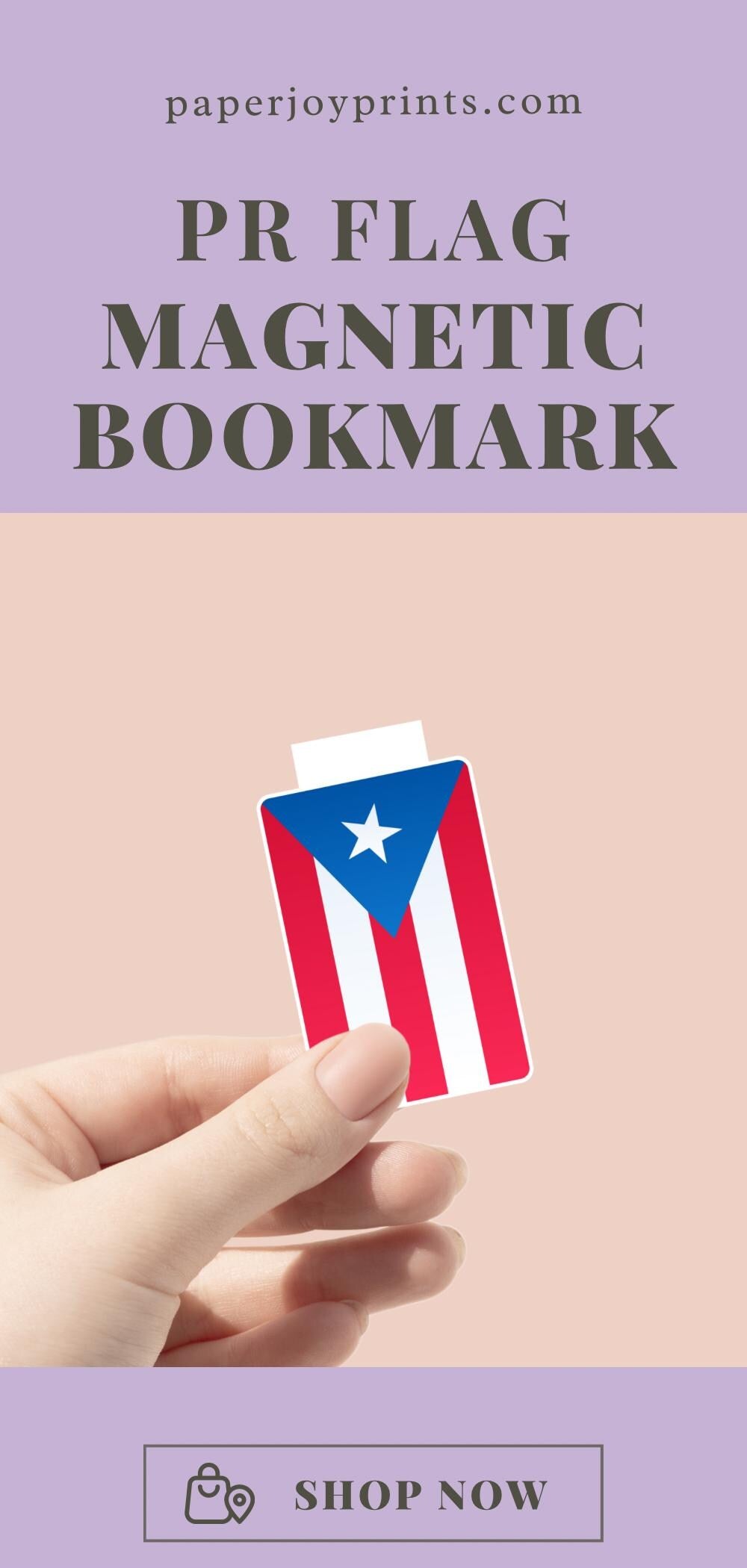 Puerto Rico and Dominican Republic Flag Magnetic Bookmarks
